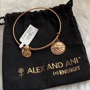 Alex and Ani Boston Bracelet